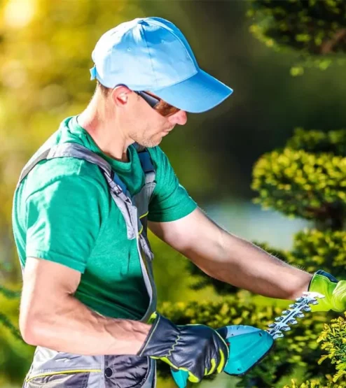 studies-img3 studies-img3